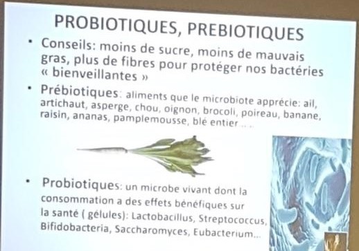 Un système fragile nécessitant de bonnes habitudes alimentaires pour bien fonctionner 