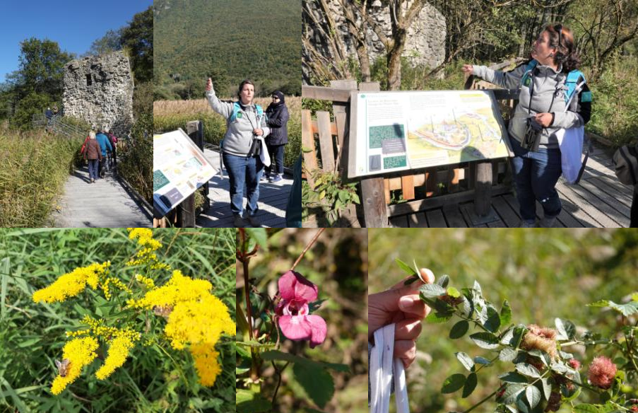 La flore en zone humide expliquée par la guide Isabelle