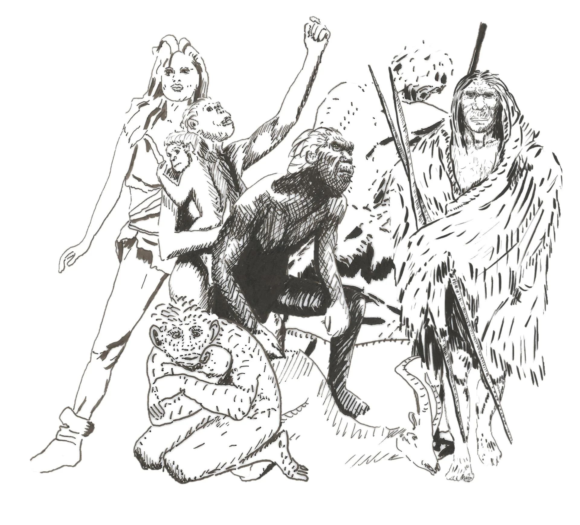 Histoire naturelle de homme illustration