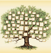L10 gachet genealogie